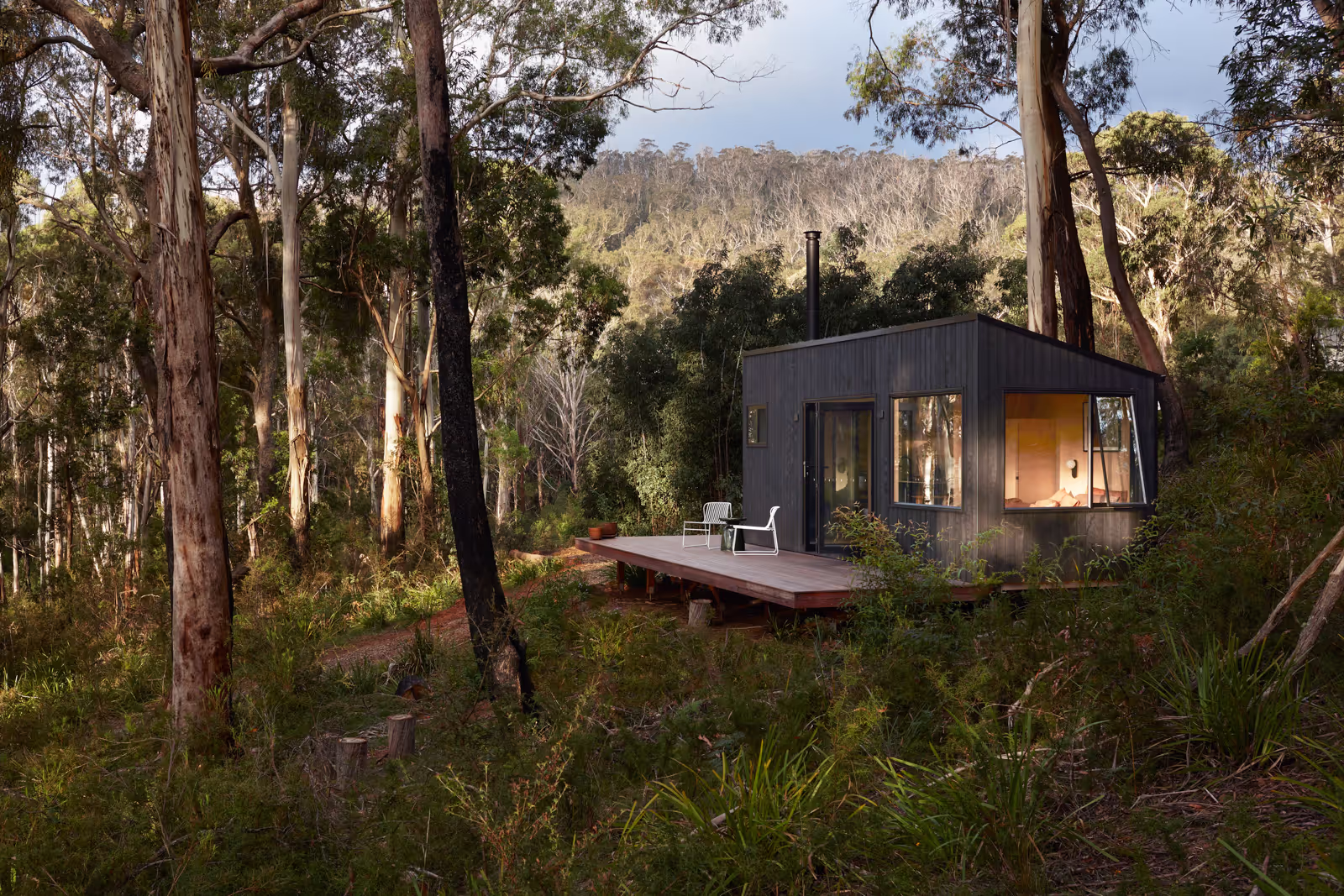 tall tiny house tucked away in the bush on a sunny day